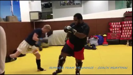 Cours Collectif de Muaythai