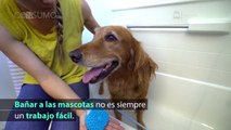 El guante que facilita el aseo de tus mascotas