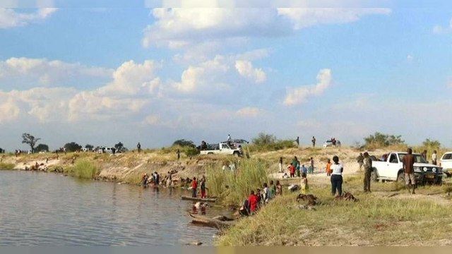 Hundreds of buffaloes drown in Botswana trying to escape lions