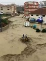 در اثر بارندگی‌های شدید و زمین‌لرزه در جزیره سیسیل، ۱۲ نفر جان های خود را از دست دادند. تعداد تلفات ناشی از بارندگی و سیلاب در سراسر ایتالیا به ۲۹ نفر رسیده است