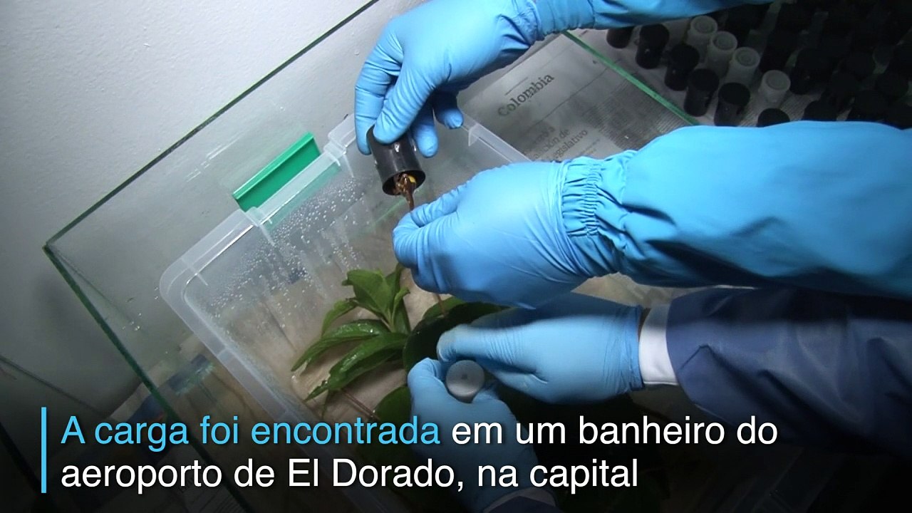 Contrabando venenoso