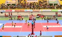 Tim Putri Gresik Petrokimia Absen di Proliga 2019