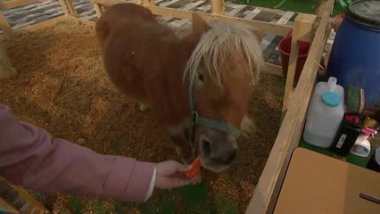 우리 농산물 다 모여라...농업인의 날 / YTN