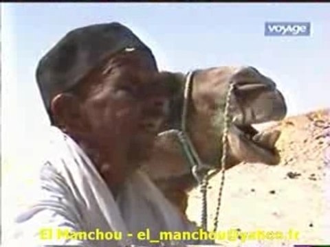 Tunisie Tunis Tunisien Arnaque Tourisme