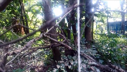 thread vs green sutli |  thread vs green auto bomb experiment!