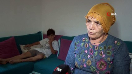 Pitbull dehşetinin izleri silinmedi