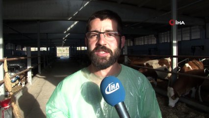 Kurduğu çiftlikte ithal ettiği hayvanlarla yıllık 260 ton süt üretiyor