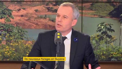 Aide à l’achat des voitures : "Nous aurons un effort conjoint Etat-constructeurs", assure F. de Rugy