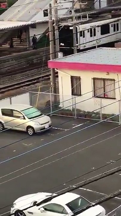 Un sanglier attaque un homme en pleine rue