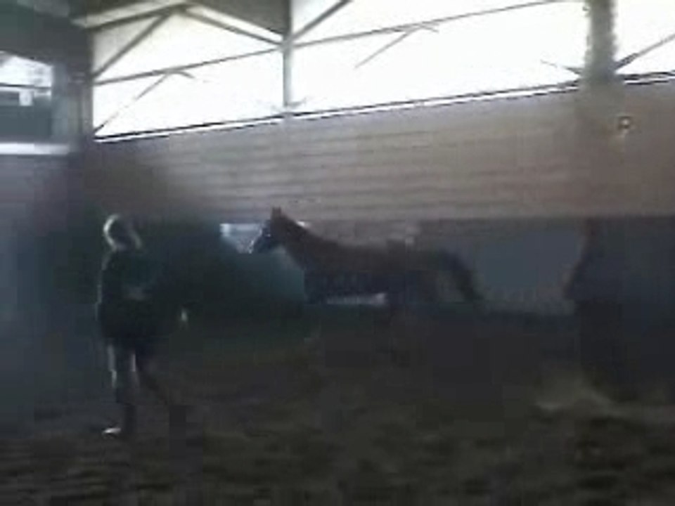 Inset saut en liberté