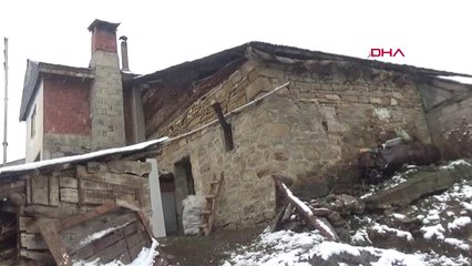 Gümüşhane Solucan Gübresiyle Organik Tarıma Geçildi