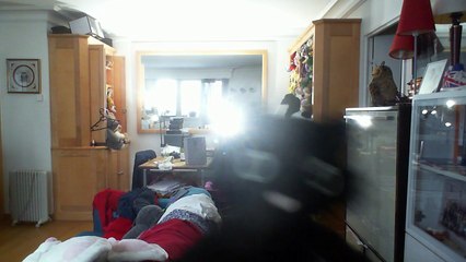 Wiwi muppetshowise "sirba" de Vladimir Cosma & Gheorghe Zamfir