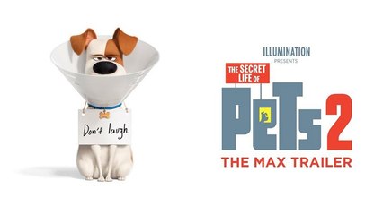 The Secret Life Of Pets 2