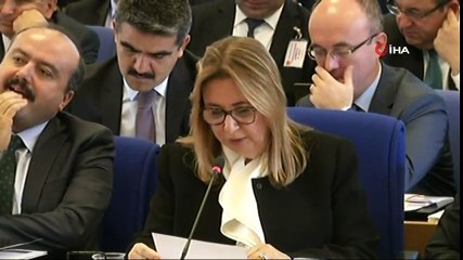 "Afrin’e Açılan Zeytin Dalı Gümrük Kapısı'nı 8 Kasım İtibariyle Faaliyete Geçirdik"