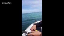 Fisherman gets inked in the face by slippery squid who doesn't want to be caught