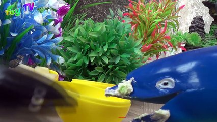 KHỦNG LONG ĐỒ CHƠI - 2 ANH EM CÁ HEO ĐEN VÀ XANH ĐOÀN KẾT - ToyTV