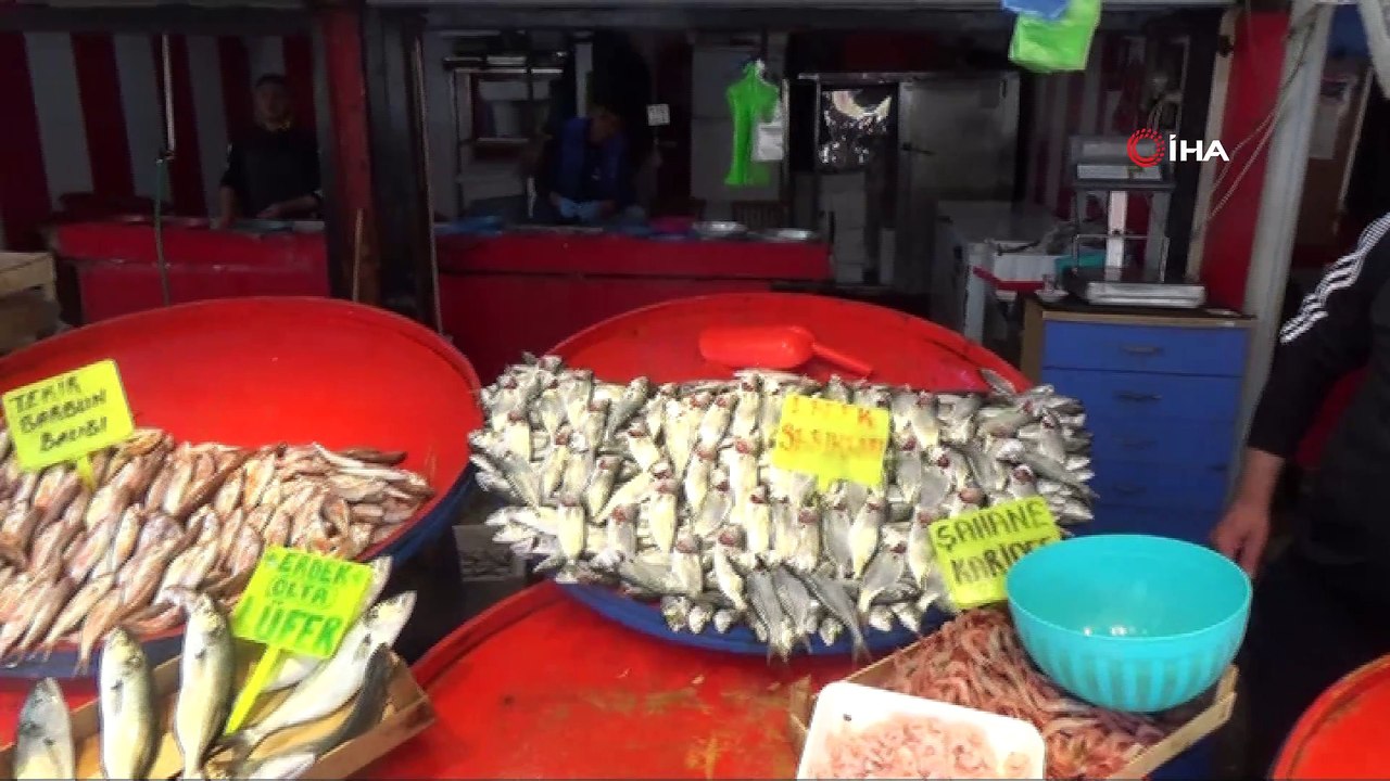 Palamut tahtını hamsiye devrediyor...Bandırma'da hamsinin kilosu 10 TL'yi gördü