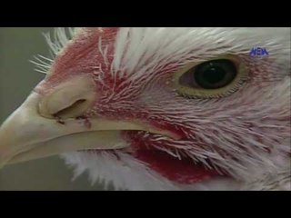 Rohaab Program - Ep 01 | الحلقة الأولى - برنامج الرهاب