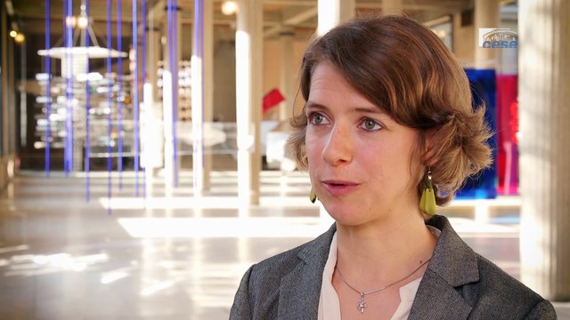 Itw de An De SCHRYVER (Commission européenne) - Affichage environnemental - cese