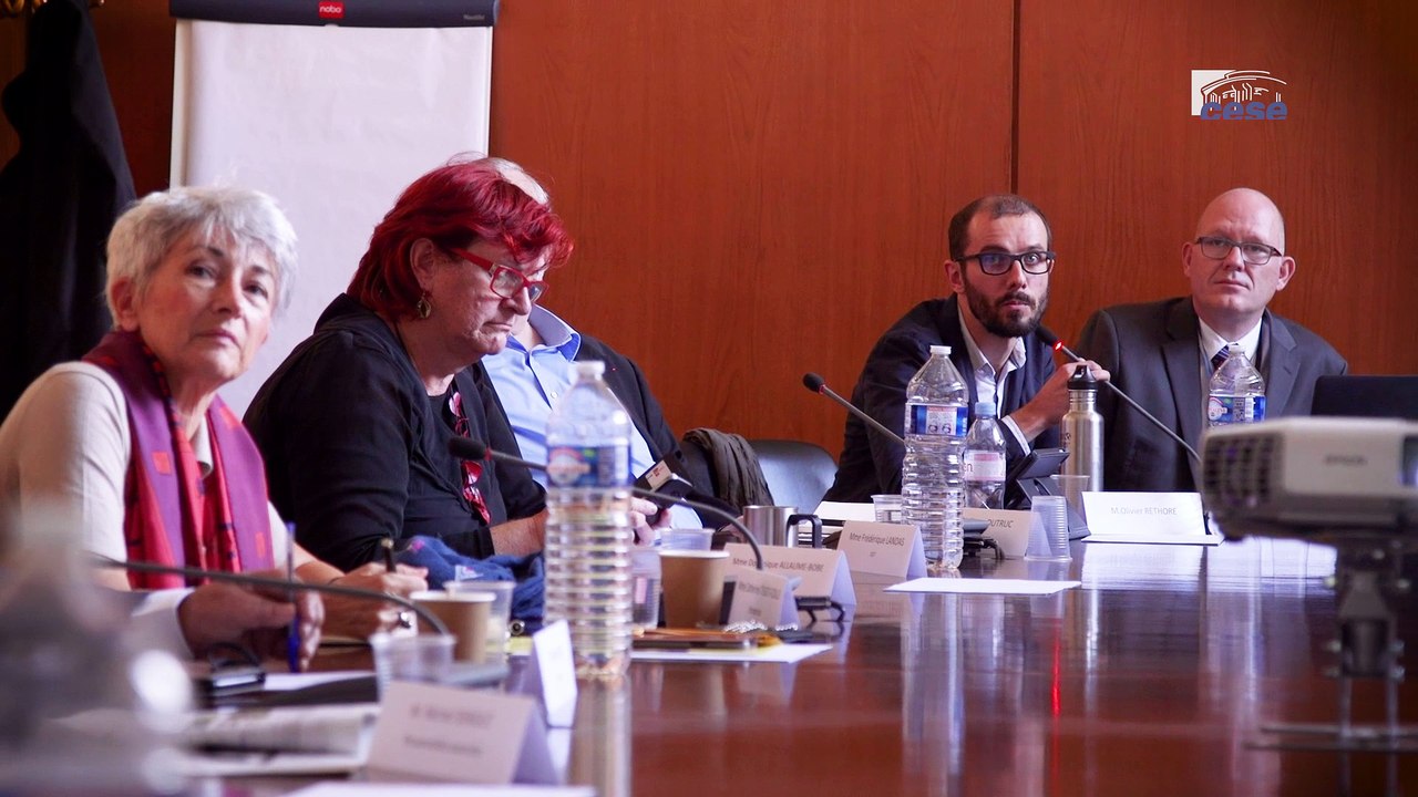 Questions à l'ADEME - Affichage environnemental - cese