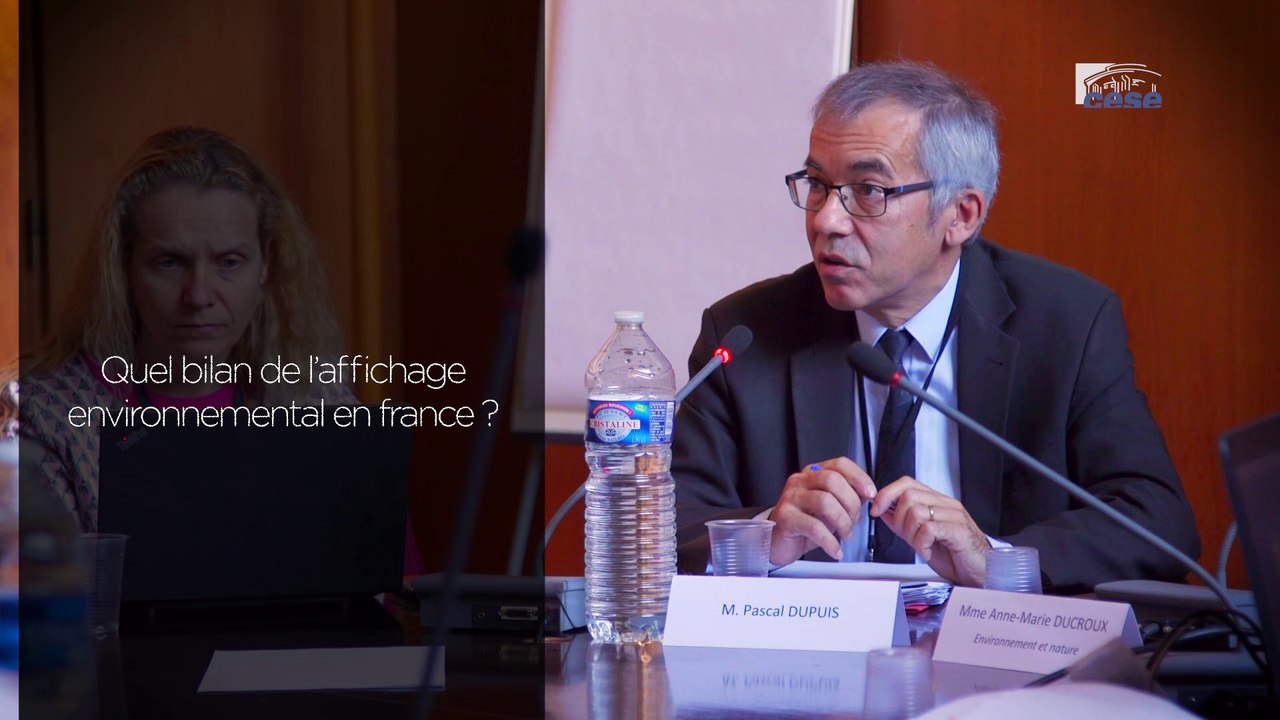 Itw de Pascal DUPUIS (SEEIDD) - Affichage environnemental - cese