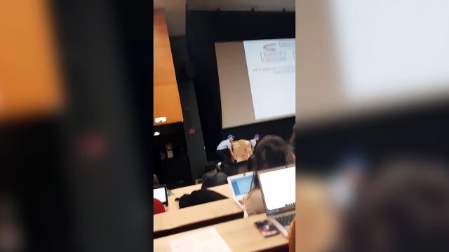 Trois étudiants lâchent un cygne dans un amphi (Clermont-Ferrand)