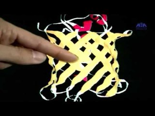 Episode 24 –Asrar El Matwalia El Genia | الحلقة الرابعة والعشرون - برنامج أسرار المتوالية الجينية