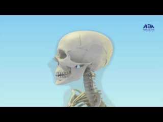 Eps 18 –El Alem Men Hawlna | الحلقة الثامنة عشر (  تحريك العضلات والعظام) - برنامج العلم من حولنا