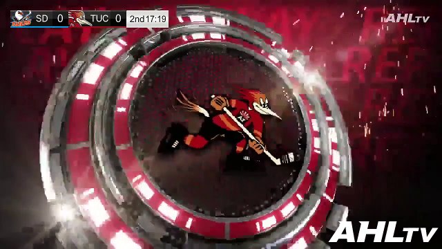 San Diego Gulls (3) vs. Tucson Roadrunners (6)