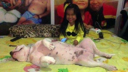 Une fille s'amuse à faire des gratouilles à son chien