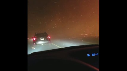 Un homme et son chat en voiture à travers un incendie (Californie)