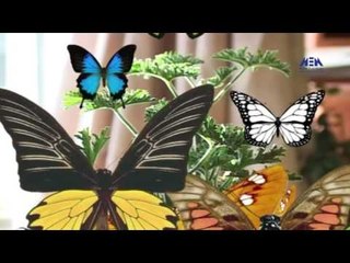 Episode 23–Nabtat EL Zieena Program | الحلقة الثالثة والعشرون - برنامج نباتات الزينة