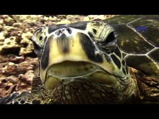 Episode 01 –Kaset Al Hayah Program | الحلقة الأولى - برنامج قصة الحياة