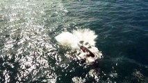 Stunning! Drone footage shows humpback mother and calf breaching