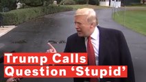 Trump Tells Reporter: 'What A Stupid Question That Is'