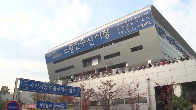 옛 노량진 수산시장 3년만에 분규 일단락...불씨는 남아 있어 / YTN