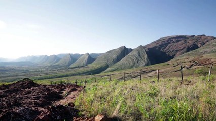 Reserva boliviana busca convertirse en nuevo “parque jurásico”
