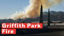 Fire Starts Near Griffith Park In Los Angeles, California