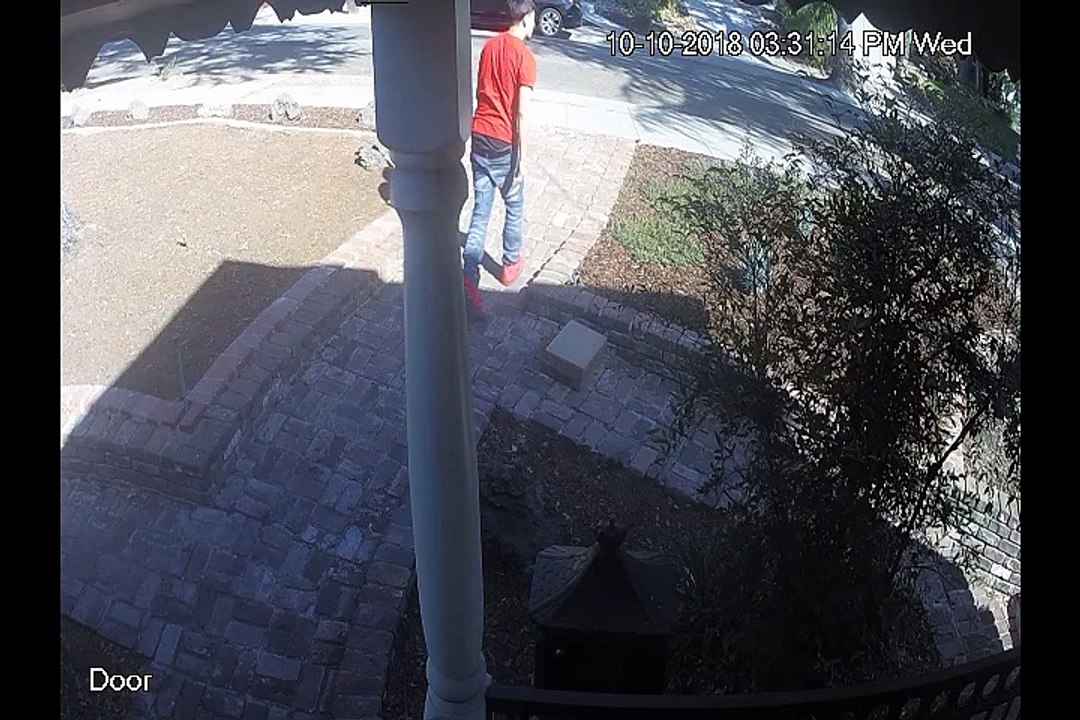 Package Thief Strikes in Broad Daylight
