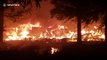 More bodies found in California town destroyed by wildfire