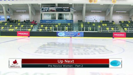 Pre Novice Women Short (Skaters 29 - 58) - 2019 Skate Canada BC/YK Section Championships (18)