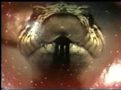 WWE - Stone Cold Steve Austin (Entrance Video)