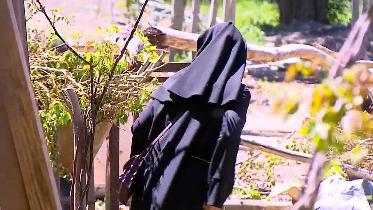 Isla Paraiso Capitulo 29 Completo HD