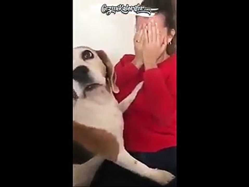 Ağlama Numarası Yapan Sahibine Kıyamayıp Onu Te...