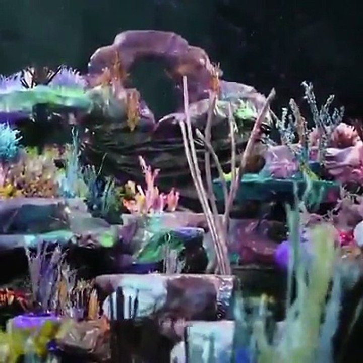 Bu film Bangkok sokaklarından toplanan plastik atıklarla çekilmiş.Bilim insanları, 2050 yılına kadar okyanuslarda balıktan çok plastik atık olacağını belirtiy