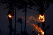 Five dead in California wildfire