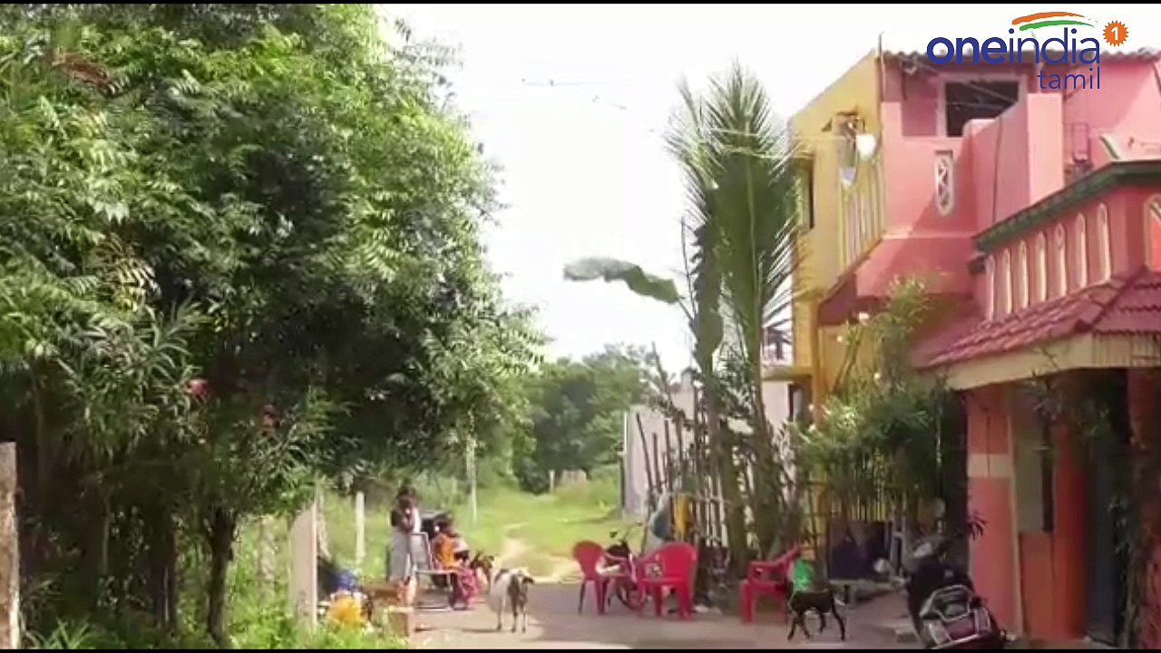 சட்ட விரோதமாக வீட்டில் பதுக்கி வைத்திருந்த5 லட்சரூபாய்   மதிப்பிலான ஒரு டன்  குட்கா-வீடியோ