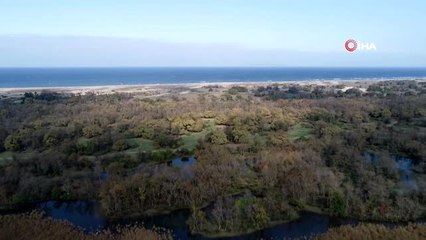 Karacabey Longoz'u Sonbaharda Havadan Görüntülendi