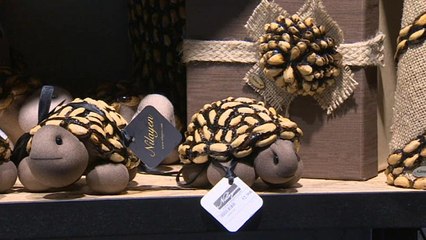 شاهد: ماذا يمكن أن تصنع الموهبة من قشور الفستق ؟