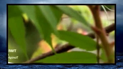 Scorned Love Kills S01 E02